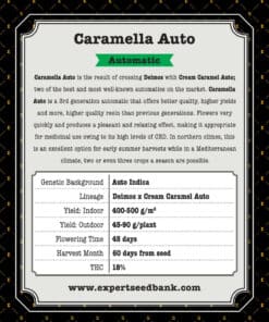 Caramella Auto