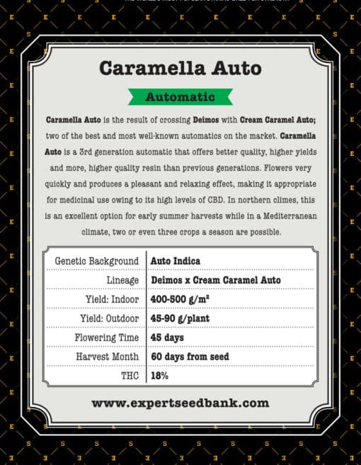 Caramella Auto