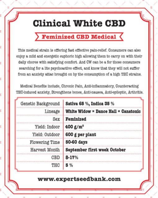 Clinical White CBD