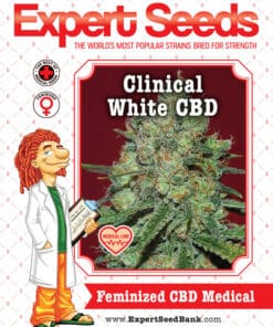 Clinical White CBD