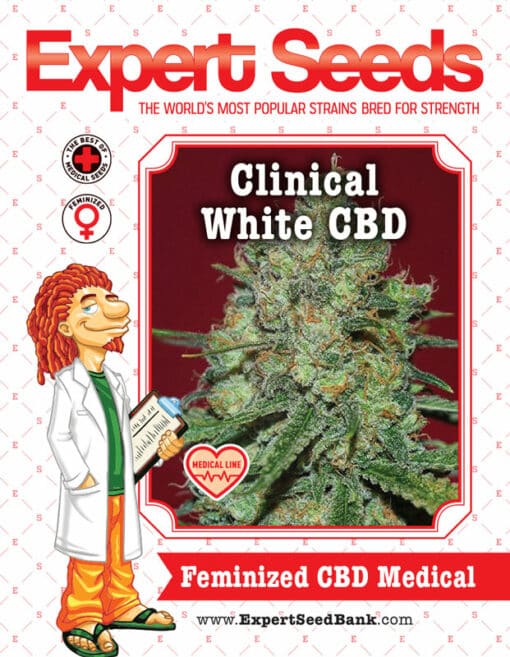 Clinical White CBD