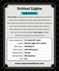 Critical Lights