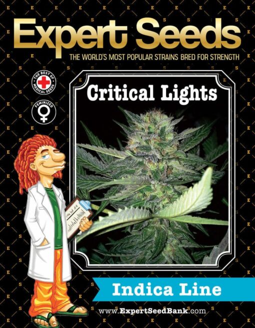 Critical Lights