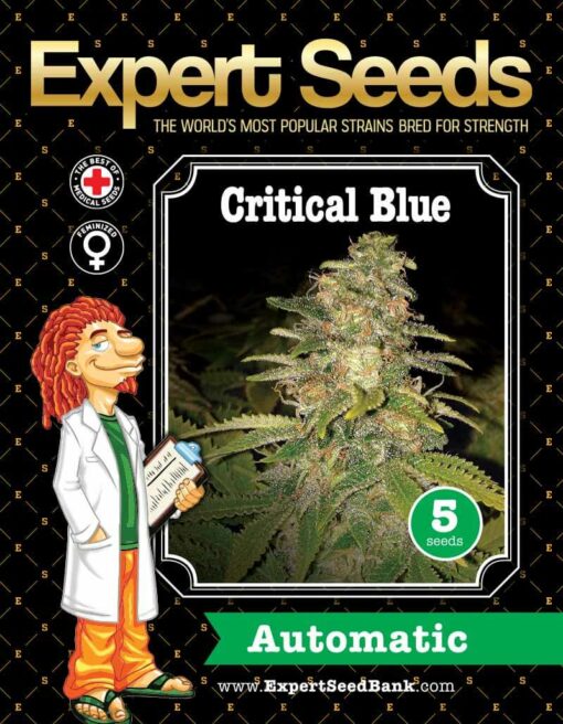 Critical Blue Auto