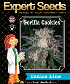 Gorilla Cookies