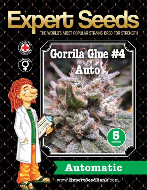 Gorrila Glue #4 Auto