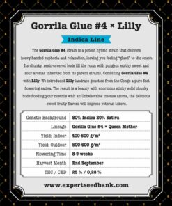 Gorrila Glue #4 × Lilly