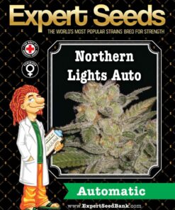 Northern Lights Auto