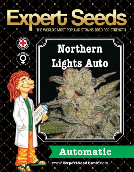 Northern Lights Auto