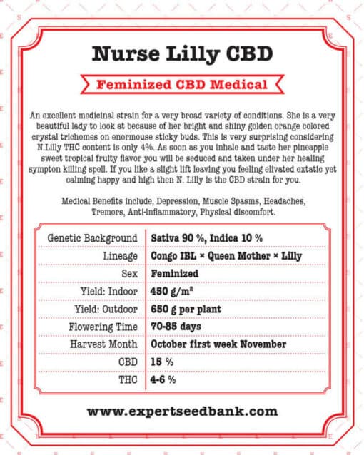 Nurse Lilly CBD