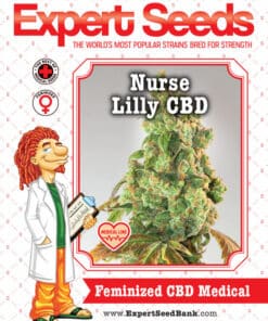 Nurse Lilly CBD