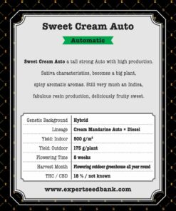 Sweet Cream Auto