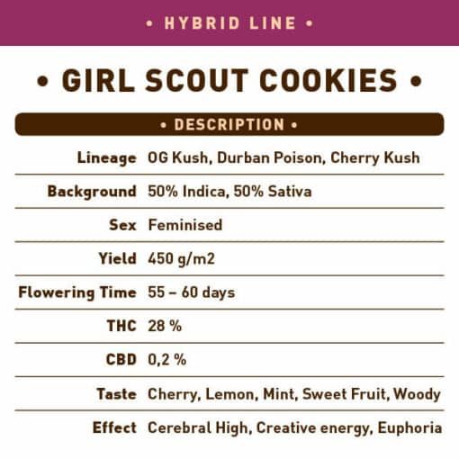 Girl Scout Cookies